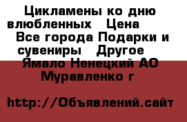 Цикламены ко дню влюбленных › Цена ­ 180 - Все города Подарки и сувениры » Другое   . Ямало-Ненецкий АО,Муравленко г.